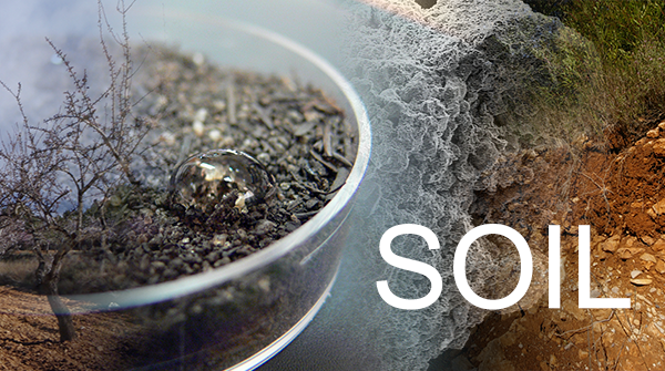 SOILD - Combined application of animal manure and straw benefit